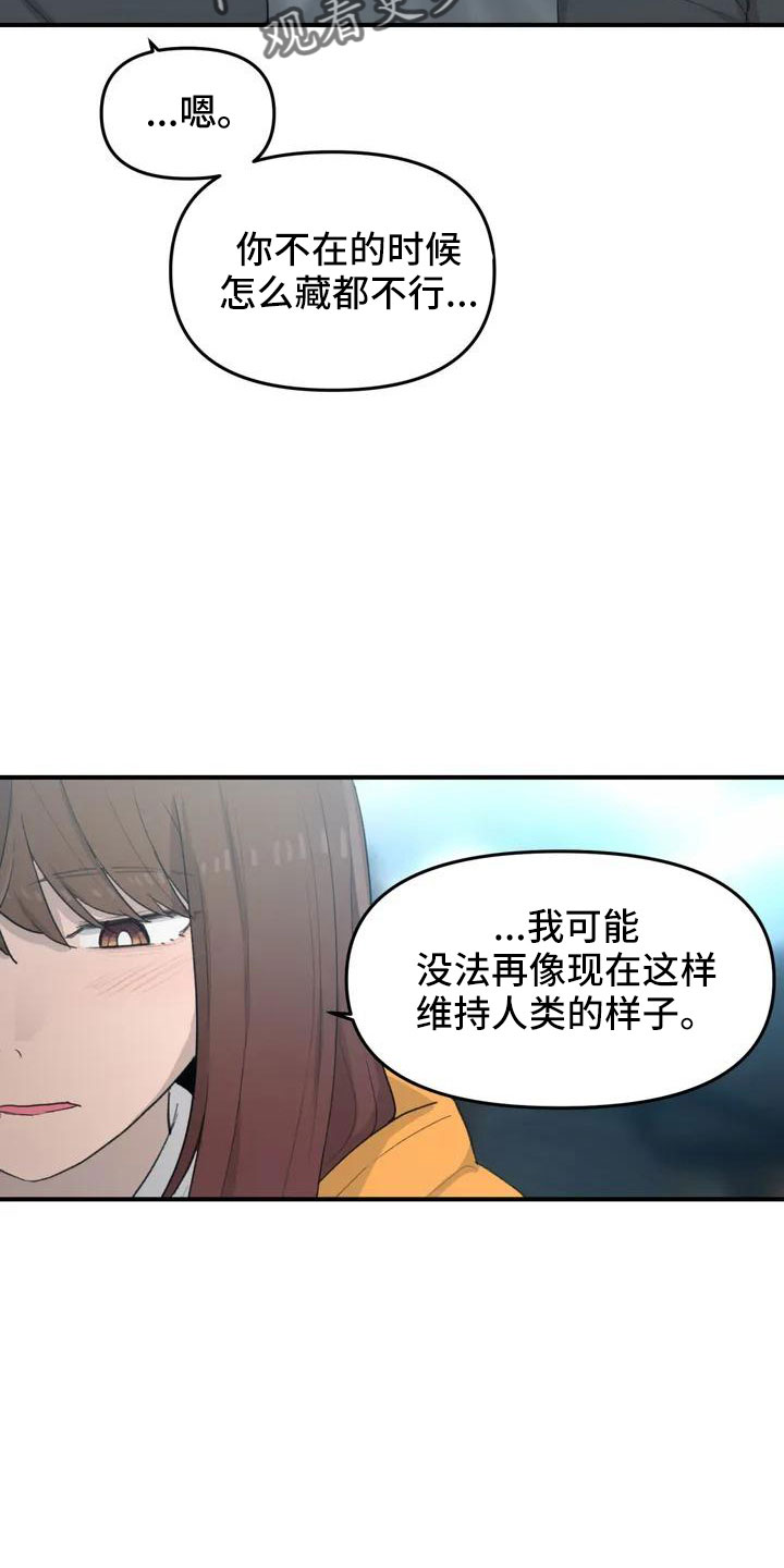狐狸是犬科还是猫科漫画,第53章： 羞羞的事3图