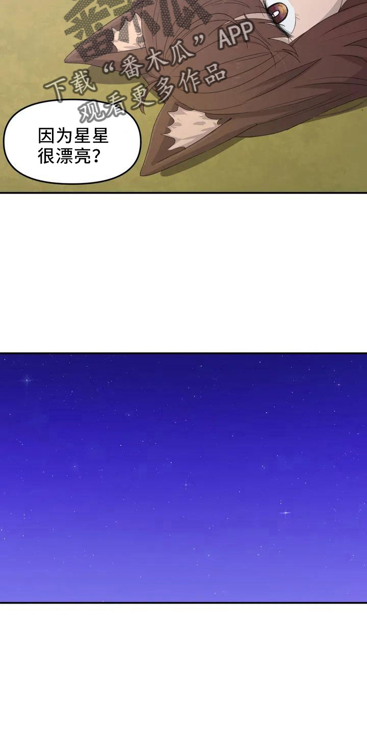 狐狸珠卖了漫画,第44章：不了解1图