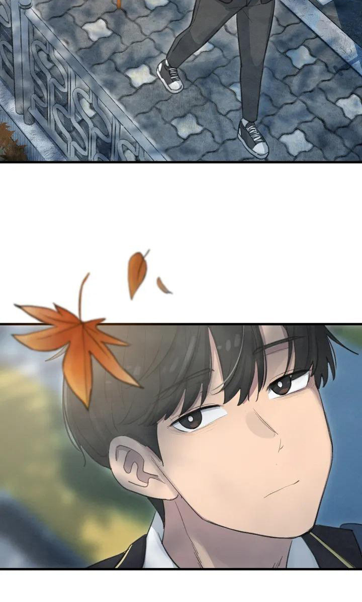 美女误拿狐妖灵珠救了一只狐狸漫画,第6章：枫叶一样3图