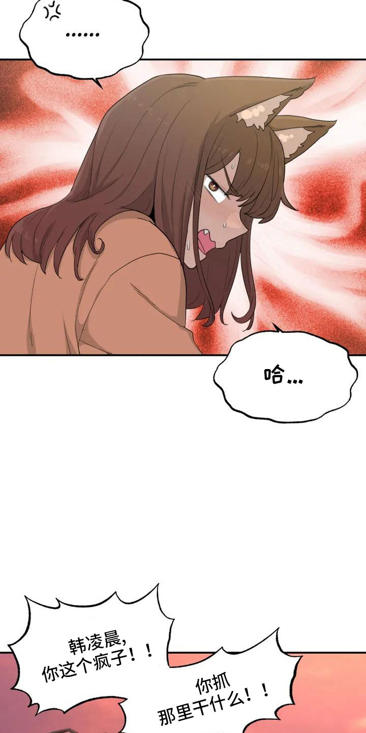 狐狸与我漫画,第52章：藏不起来1图