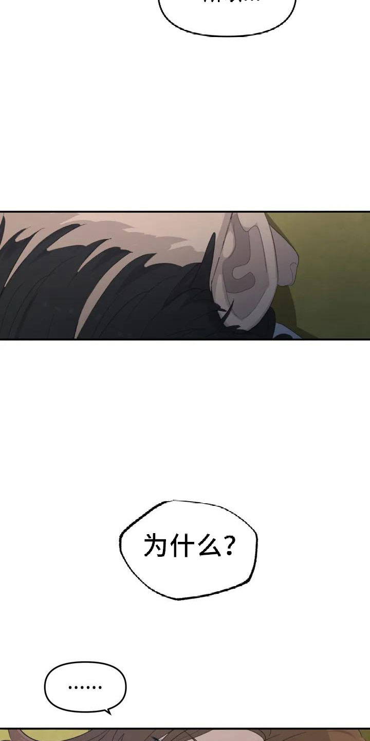 狐狸的夏天第一季漫画,第45章：好奇4图