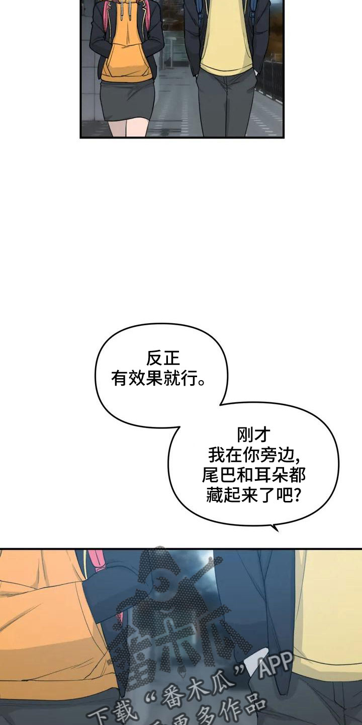 狐狸是犬科还是猫科漫画,第53章： 羞羞的事2图