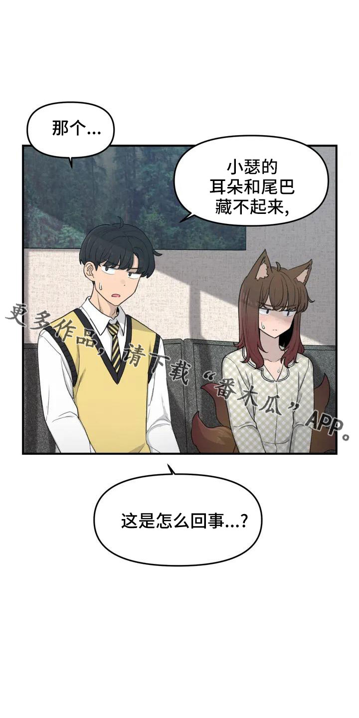 狐狸灵异故事大全漫画,第53章： 羞羞的事3图