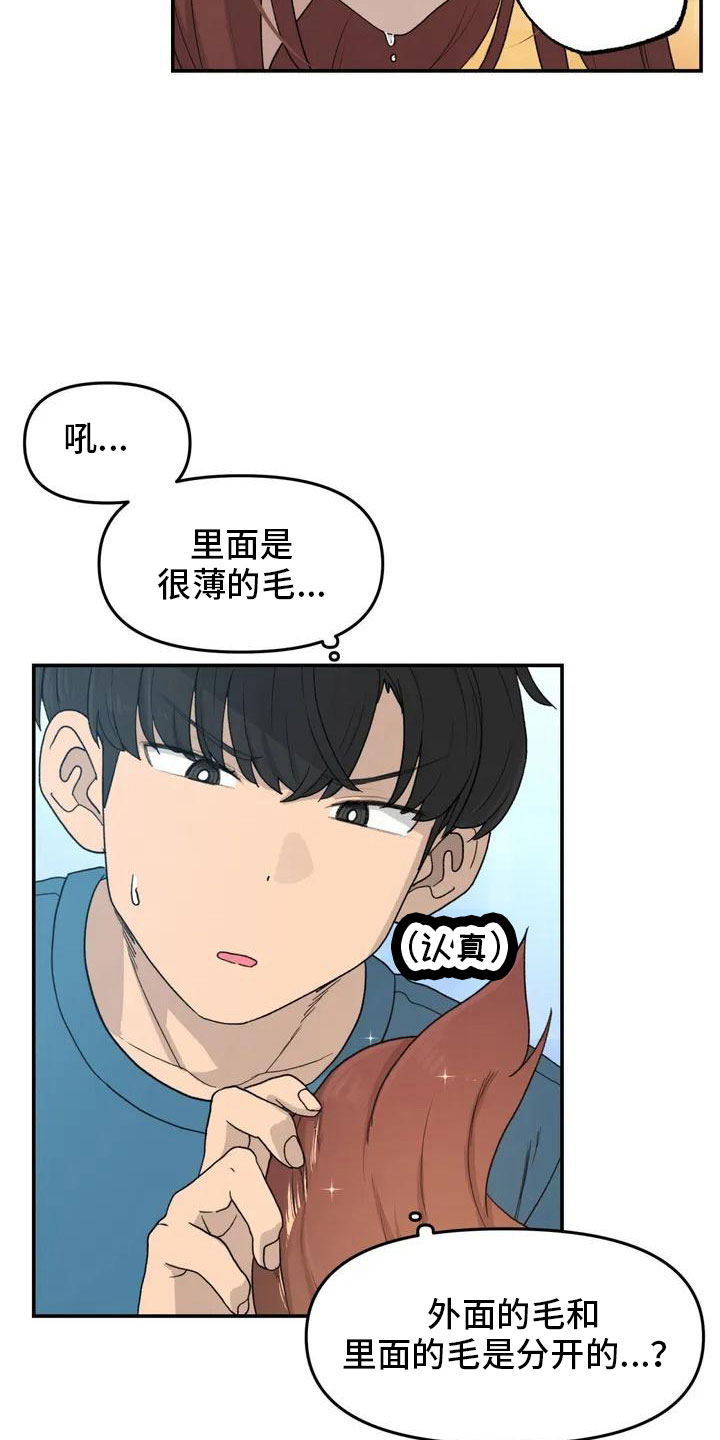 民间故事狐狸灵珠漫画,第52章：藏不起来5图
