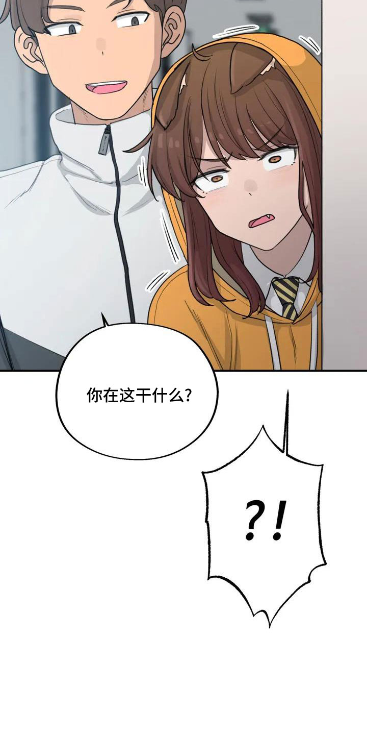 狐狸灵果漫画,第55章：搞砸了吧3图