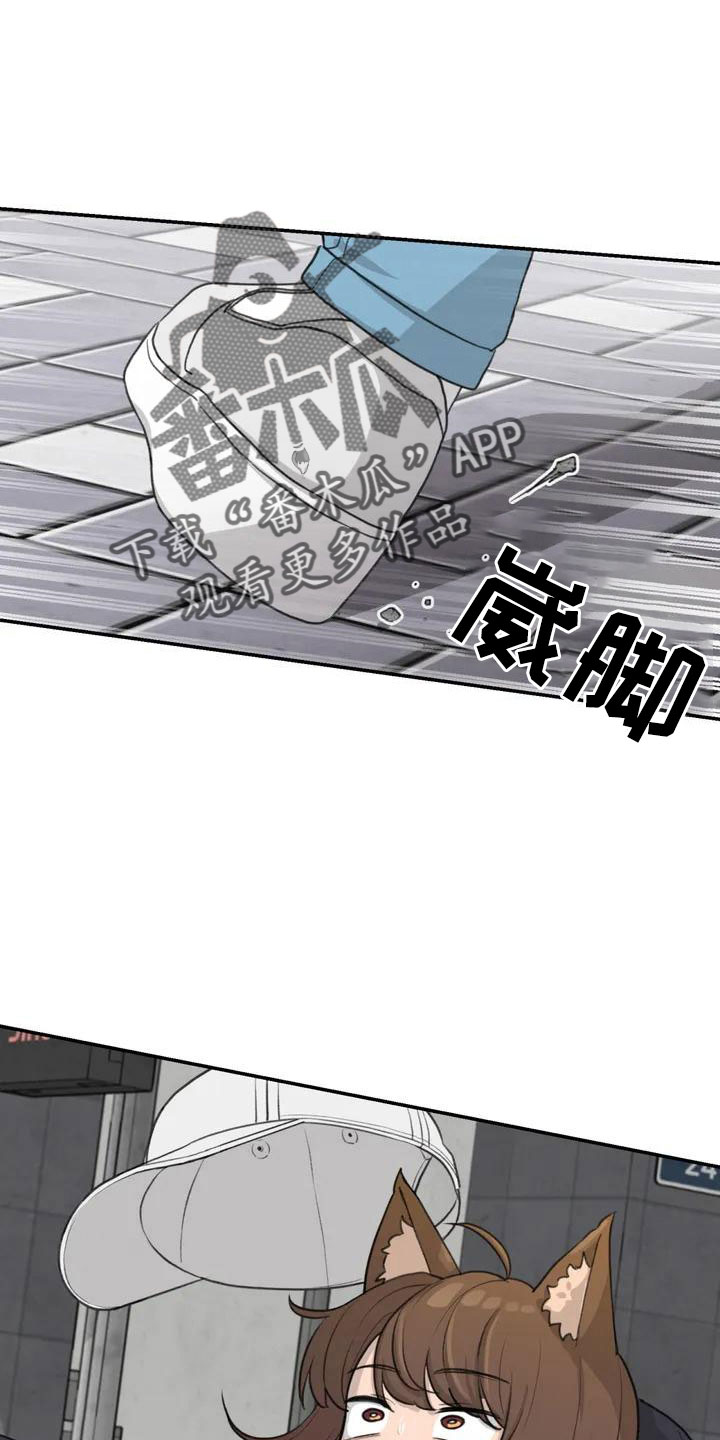 狐狸犬漫画,第63章：崴脚1图