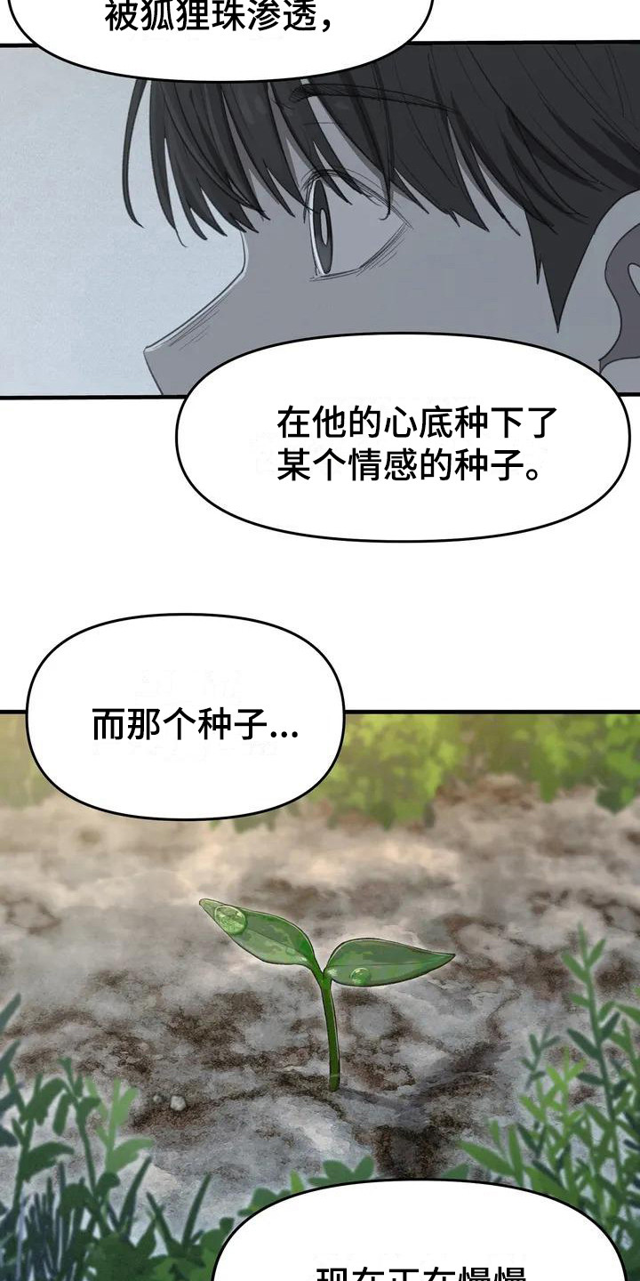 狐狸套dnf怎么堆灵珠漫画,第8章：秘密3图