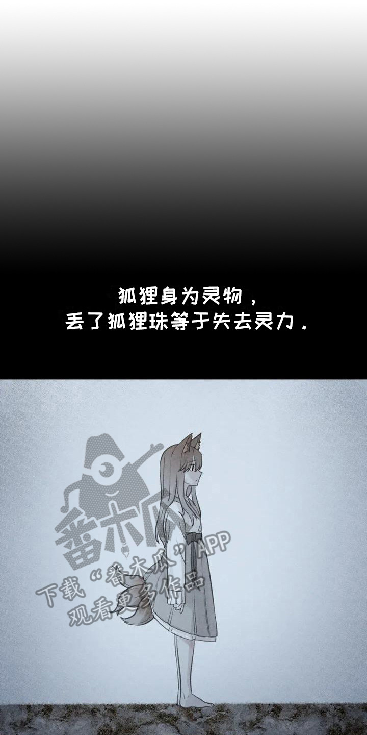 狐狸灵宠取名漫画,第6章：枫叶一样4图