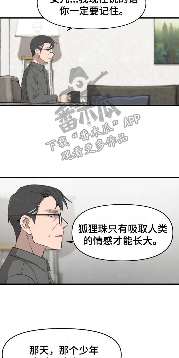 狐狸套dnf怎么堆灵珠漫画,第8章：秘密2图