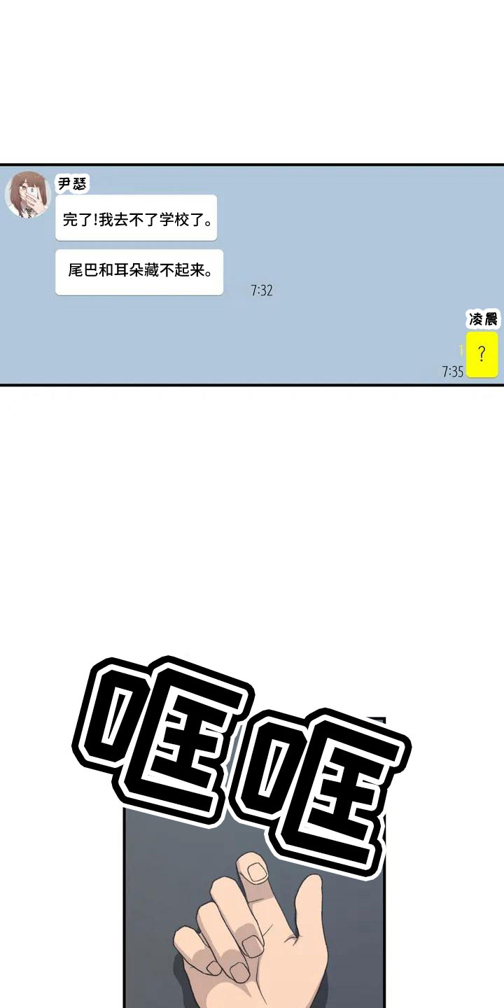 狐狸灵珠漫画免费阅读漫画,第53章： 羞羞的事1图