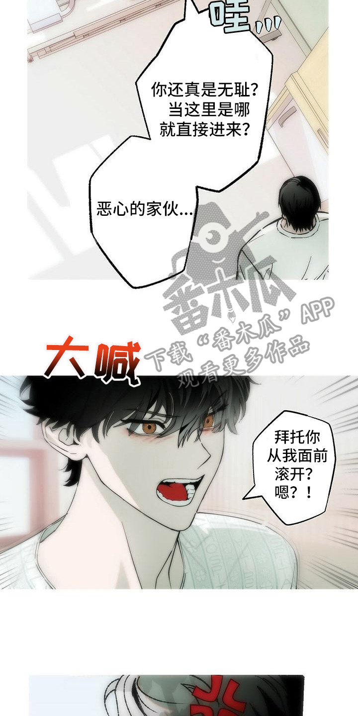 粉丝书信漫画,第21章：说你喜欢4图