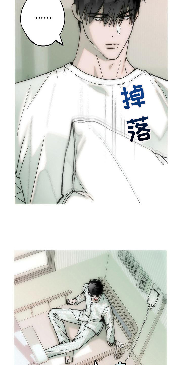 粉丝书信漫画,第21章：说你喜欢3图