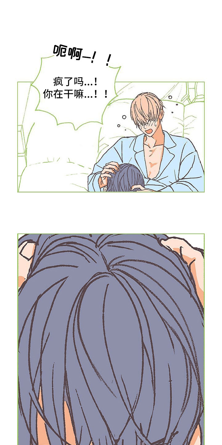 粉丝书信漫画,第12章：我行我素5图