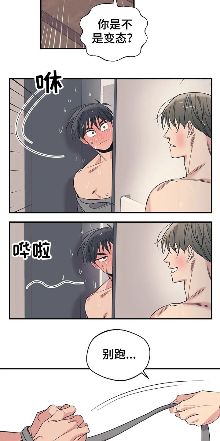 百万浪漫史漫画,第156章：（第2季）看书5图