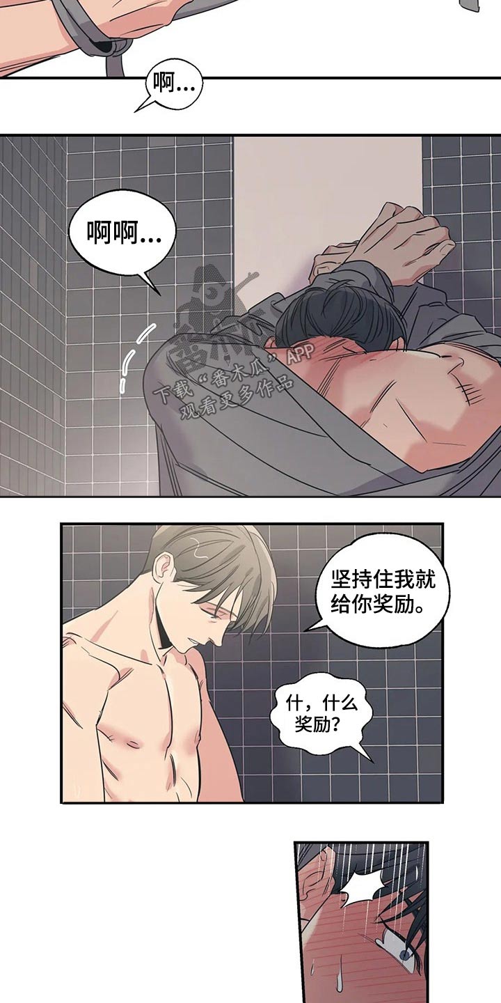 百万浪漫史漫画,第156章：（第2季）看书1图