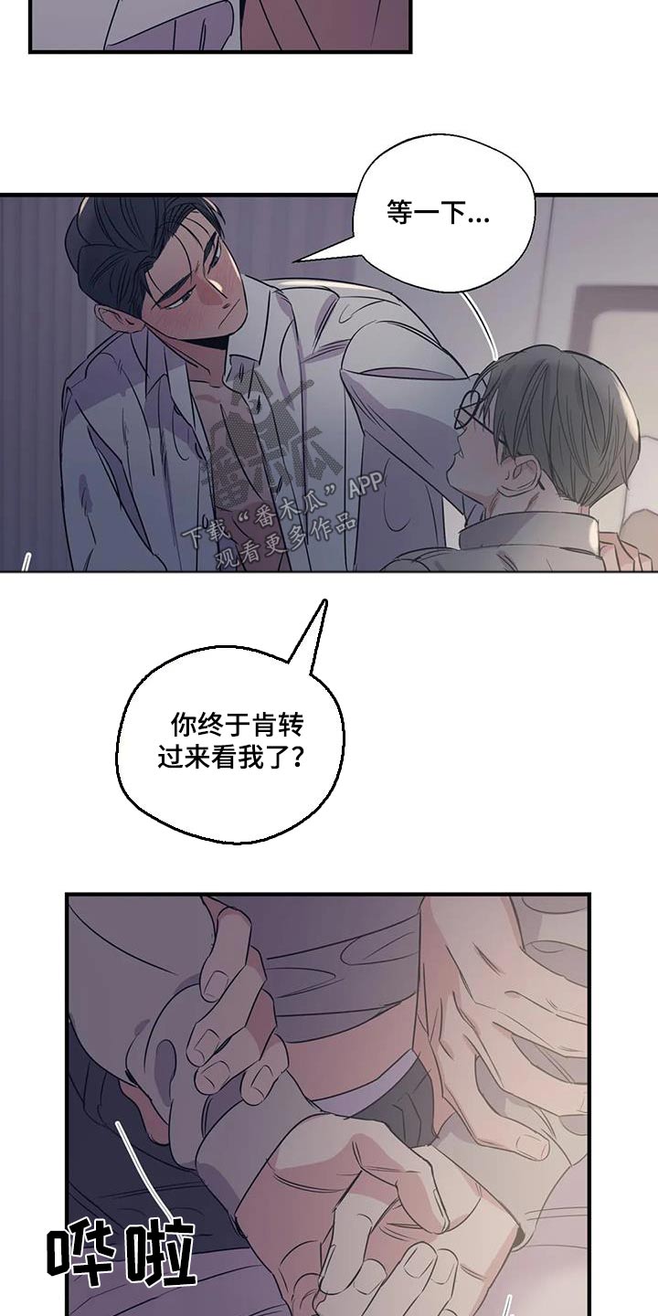 百万浪漫史漫画,第183章：【外传】虫子2图