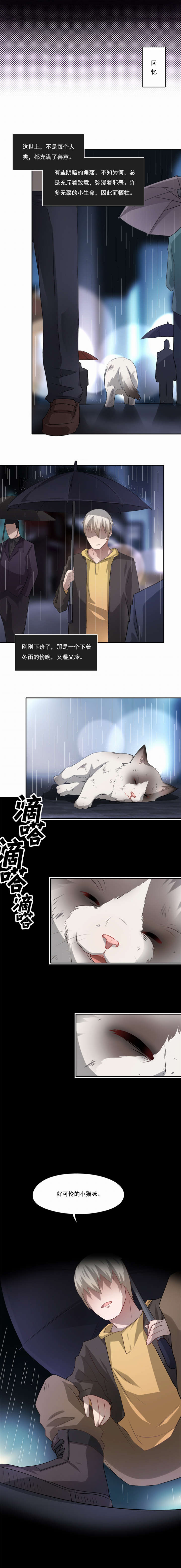 倒数七天漫画,第47章：不能没有彼此4图