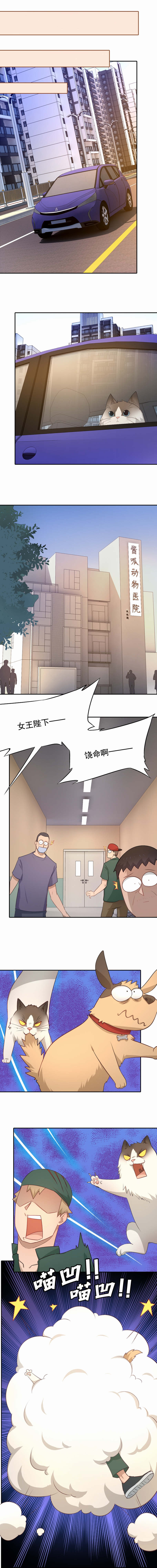 倒数七天漫画,第59章：新晋猫奴2图