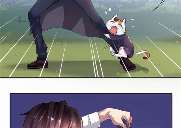 倒数七天漫画,第3章：过气明星4图