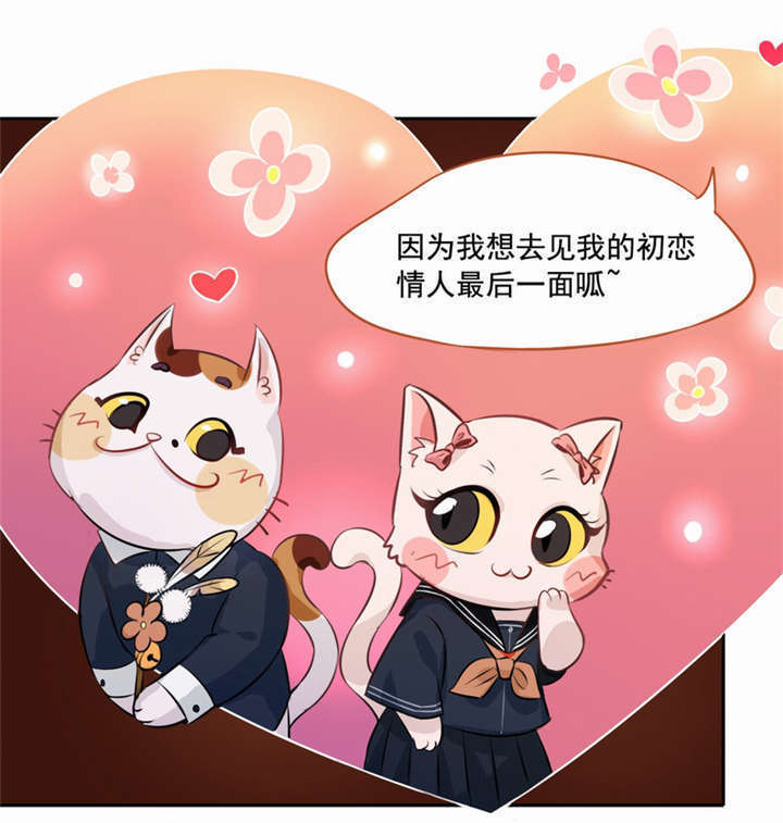 倒数七天漫画,第2章：死亡通知书5图