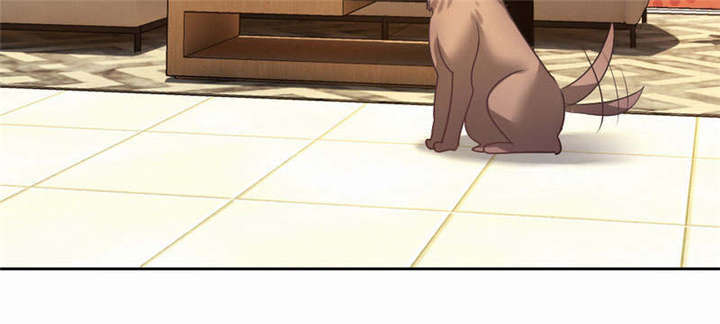倒数七天漫画,第37章：柳云生小姐4图