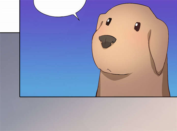 倒数七天漫画,第40章：没有婚礼3图