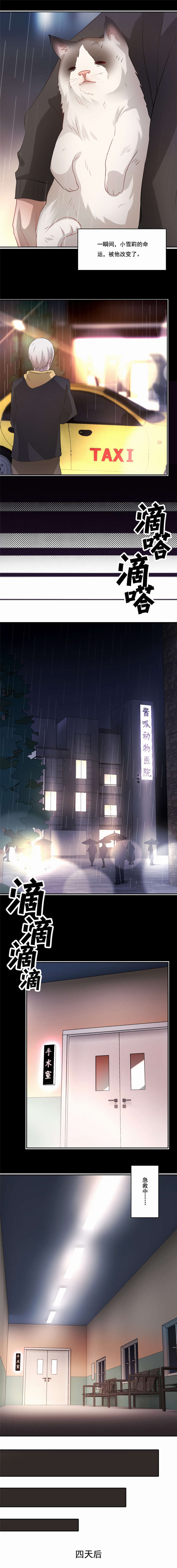倒数七天漫画,第48章：我来抚养它吧1图