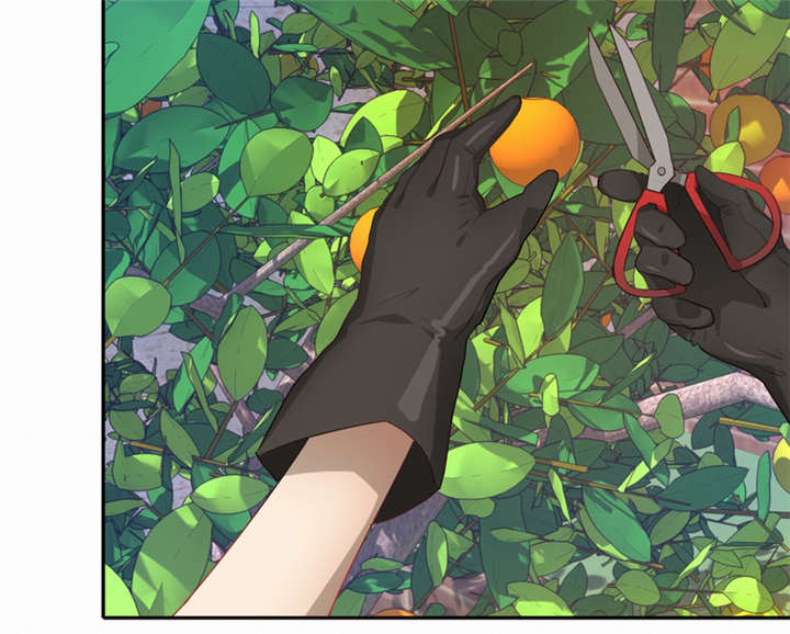 倒数七天漫画,第46章：致敬英雄2图
