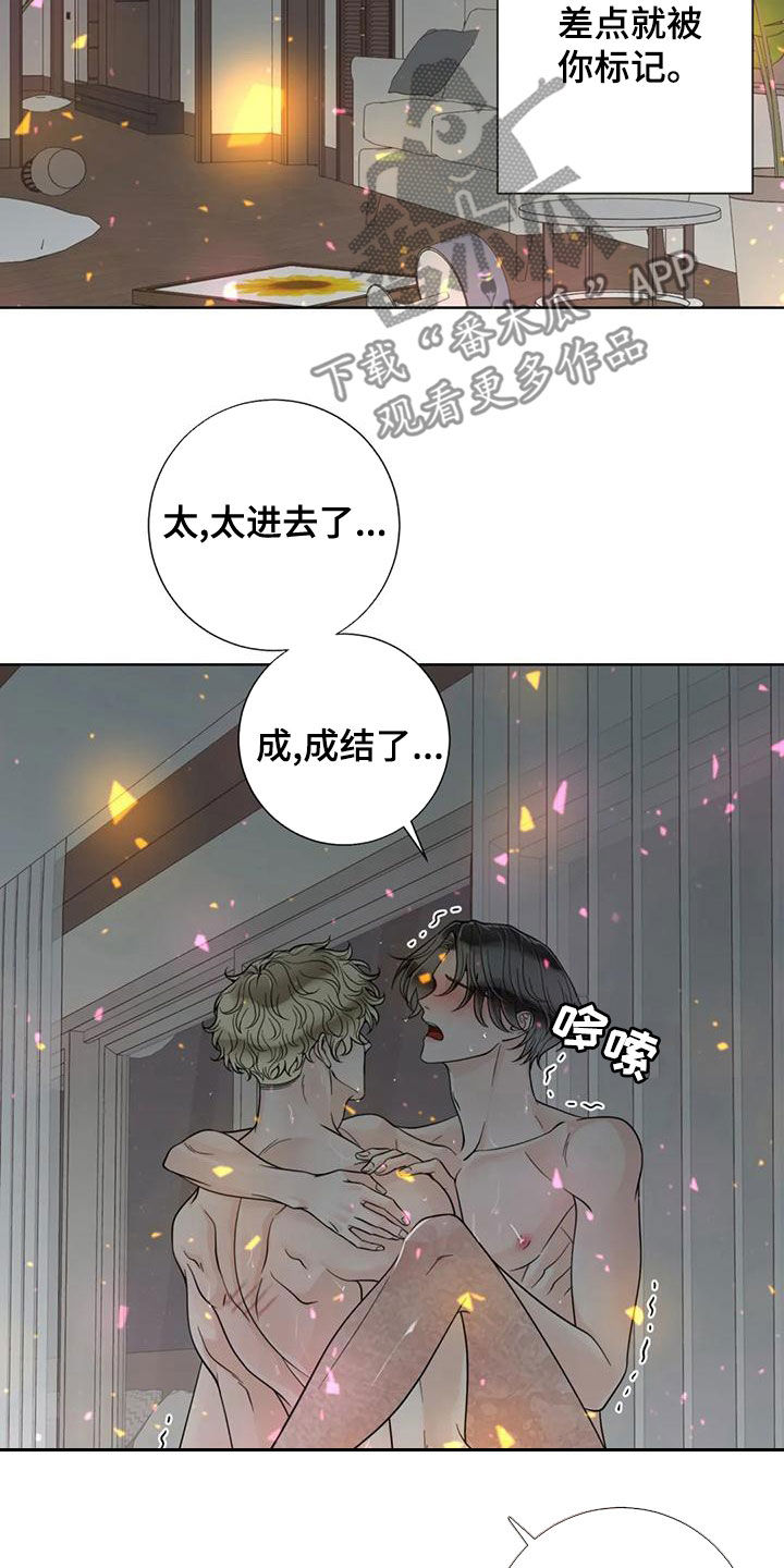 合约期伙伴漫画,第144章：【番外】谢谢你5图