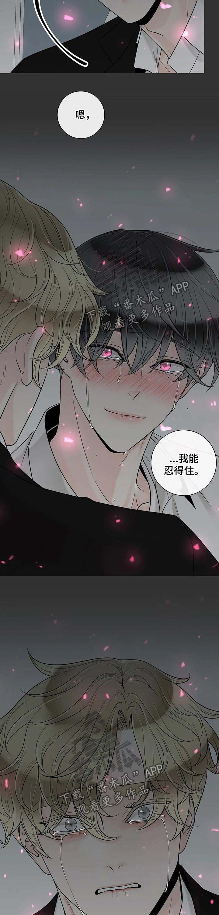 合约期伙伴漫画,第106章：【第二季】坚强4图