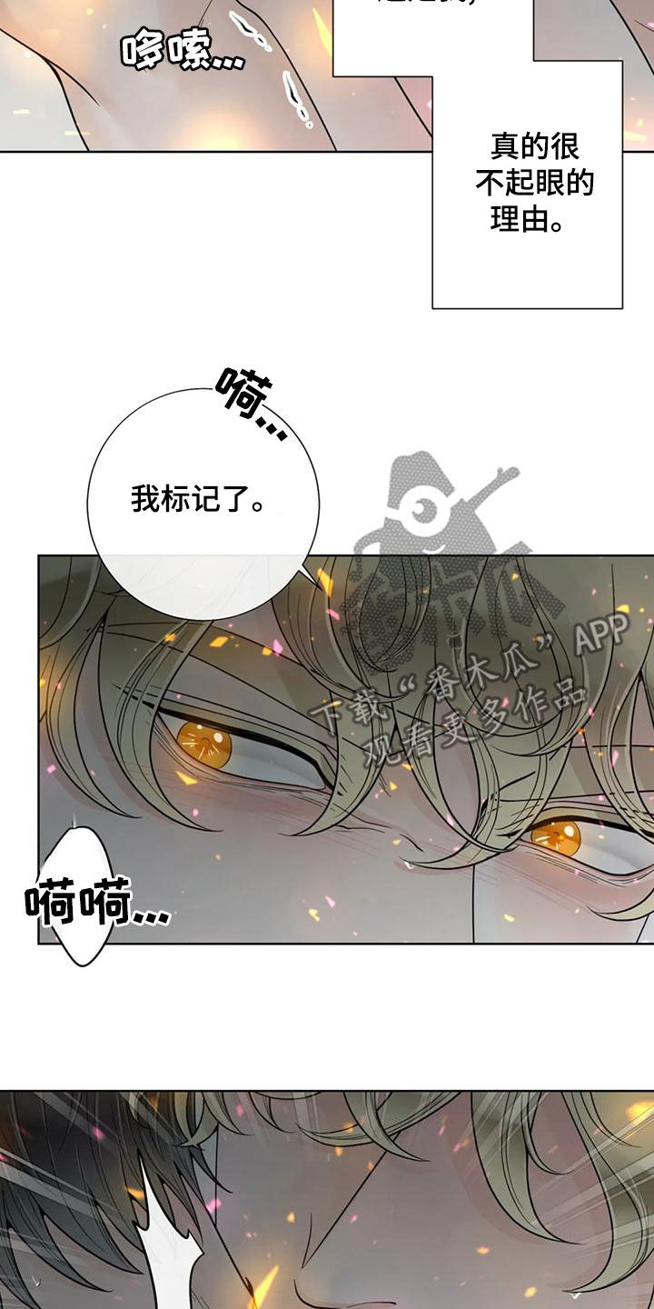 合约期伙伴漫画,第144章：【番外】谢谢你4图