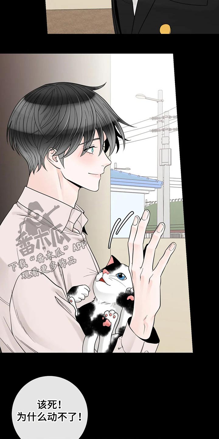 合约期伙伴漫画,第125章：【第二季】往事4图