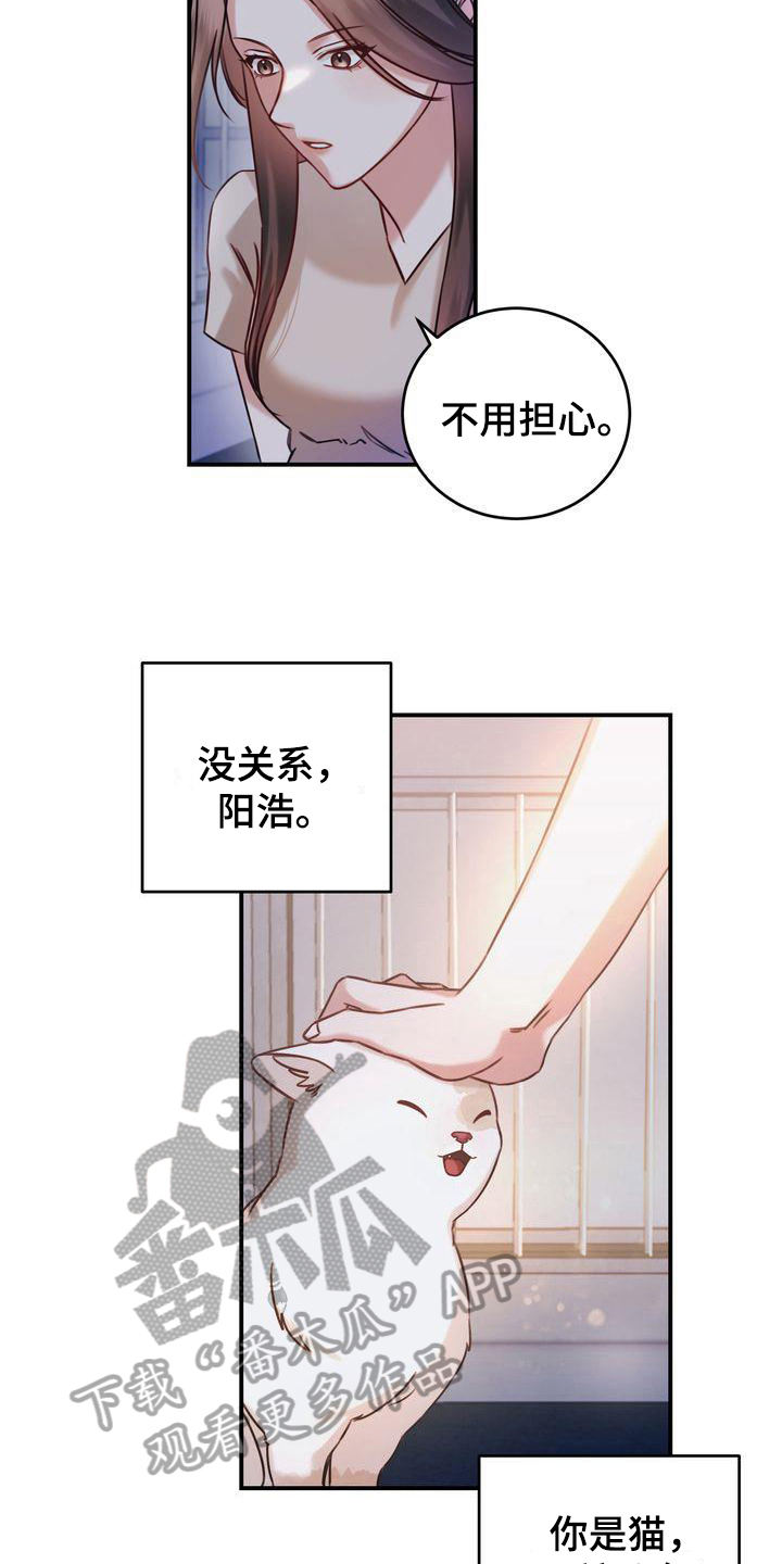 自信是什么意思漫画,第5章：要求5图