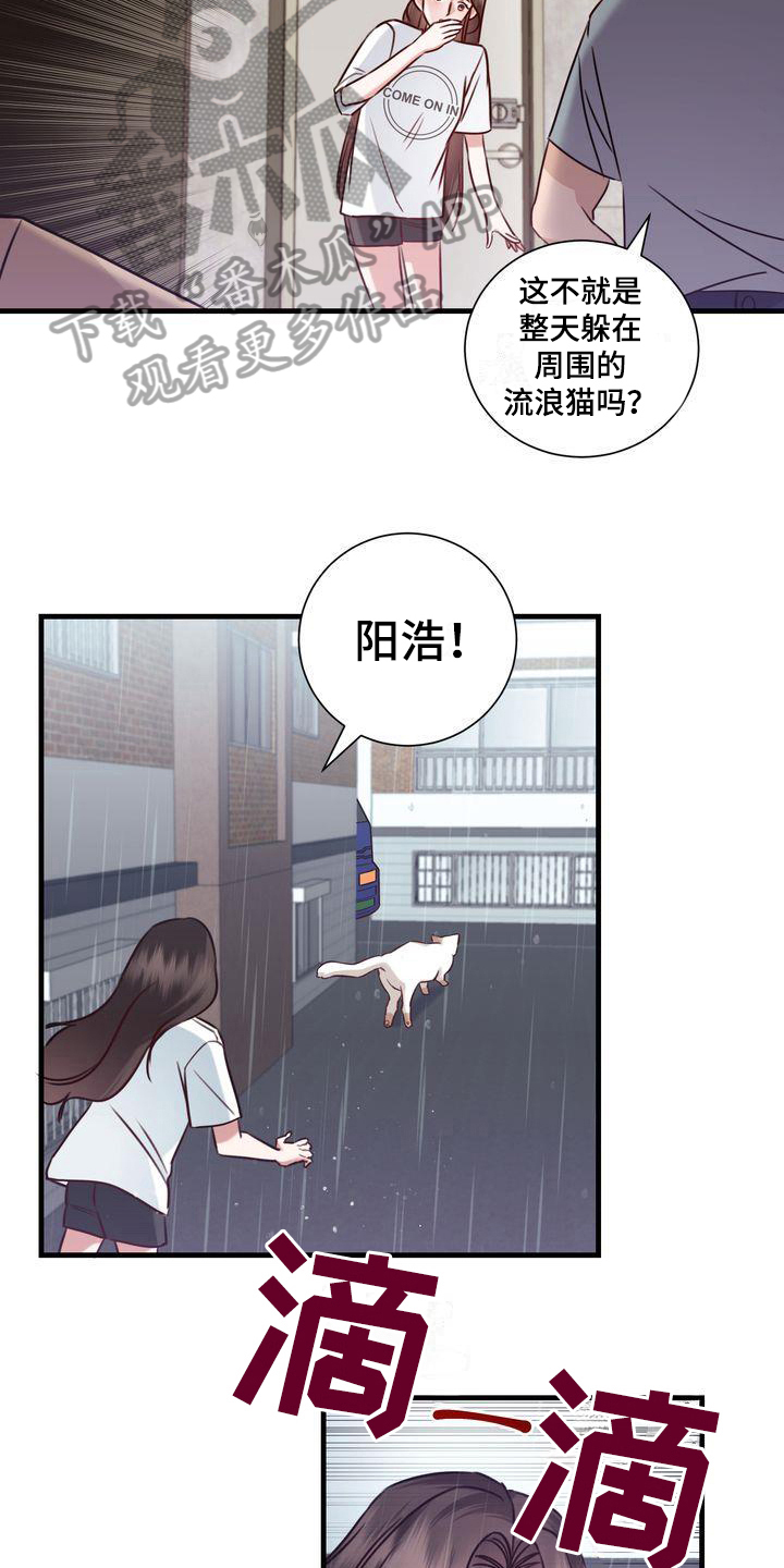 自信进化漫画,第17章：找猫3图