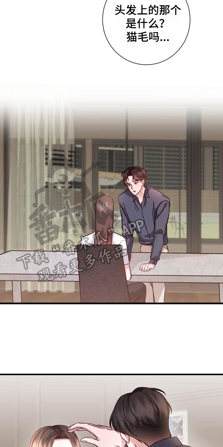 鲤鱼王自信过度进化条件漫画,第6章：称呼4图