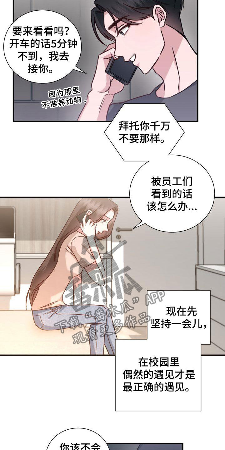 自信进化漫画,第22章：传开了3图