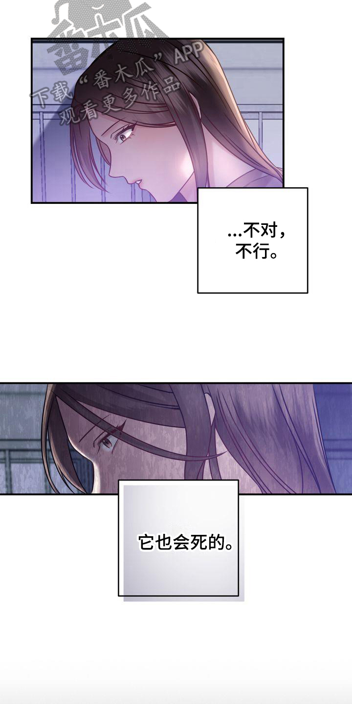 自信的耀辰漫画,第4章：养猫5图