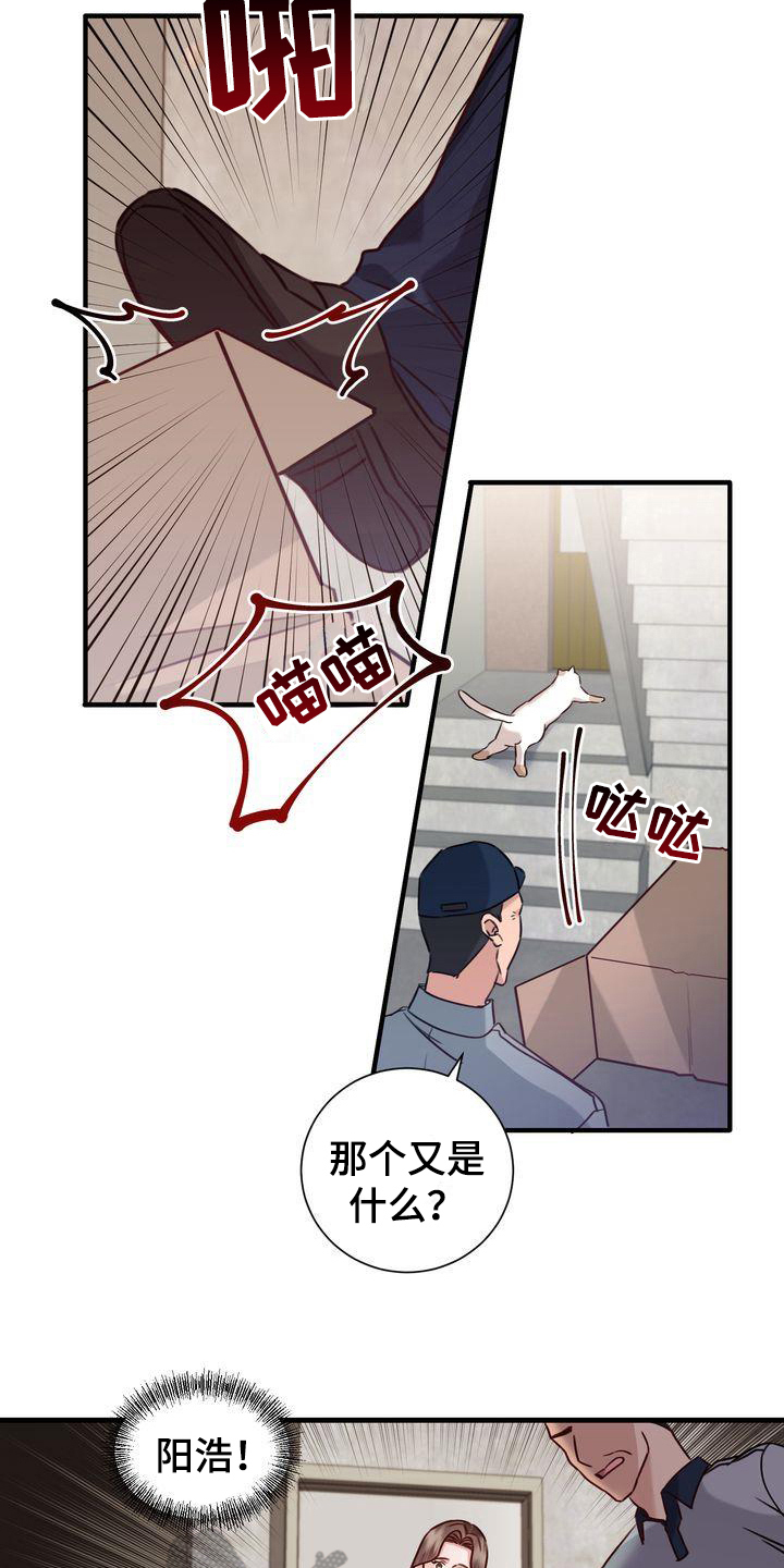 自信进化漫画,第17章：找猫2图