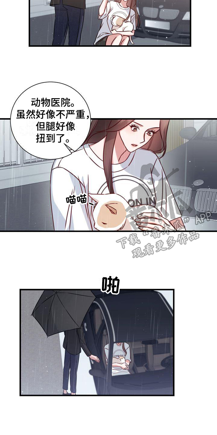 自信变年轻了漫画,第18章：提议3图