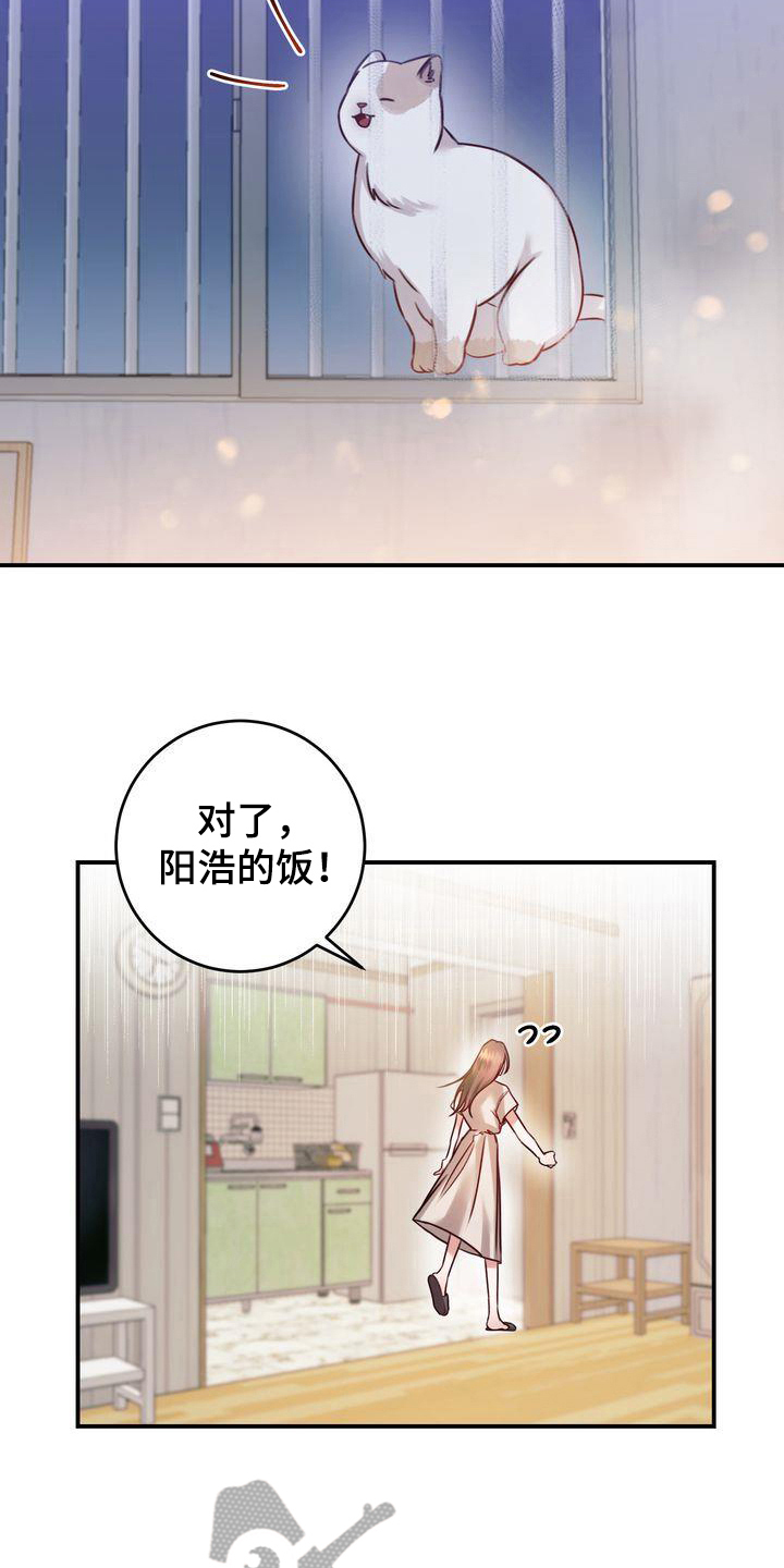 自信的耀辰漫画,第4章：养猫2图