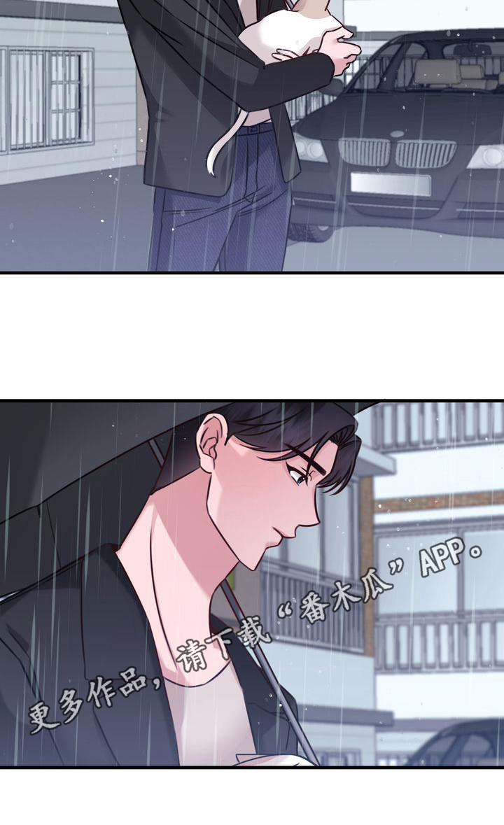 自信进化漫画,第17章：找猫1图