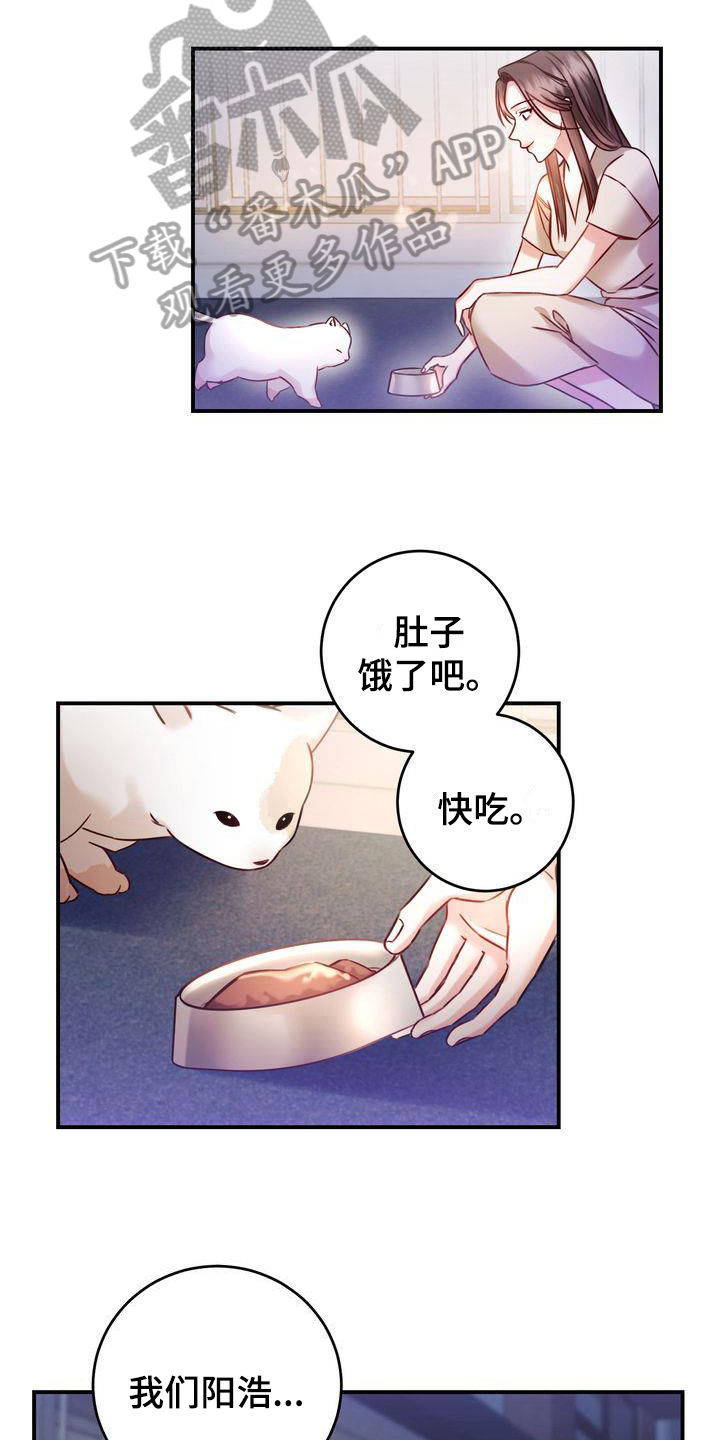 自信的耀辰漫画,第4章：养猫3图