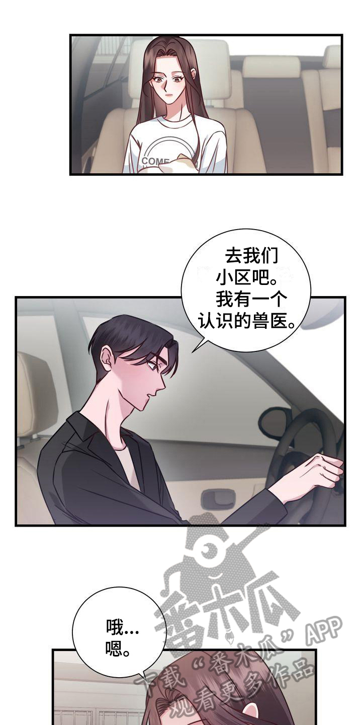 自信变年轻了漫画,第18章：提议4图
