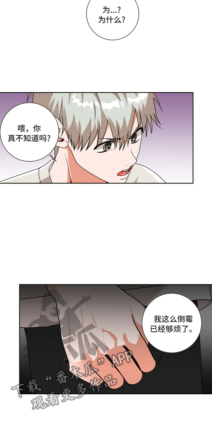 只接受完美结局漫画,第10章：和我一组4图