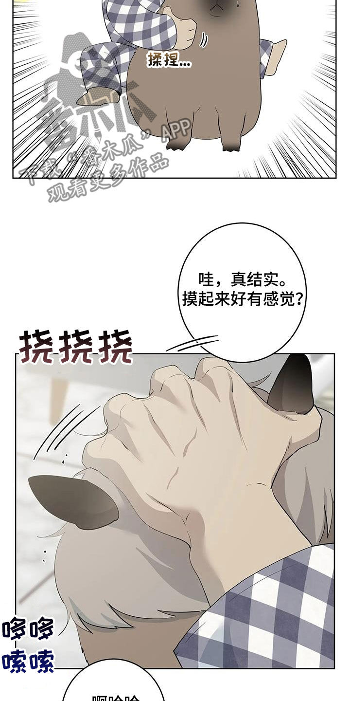 被侵蚀的上班族是韩国漫画吗漫画,第94章：【第二季】变身2图