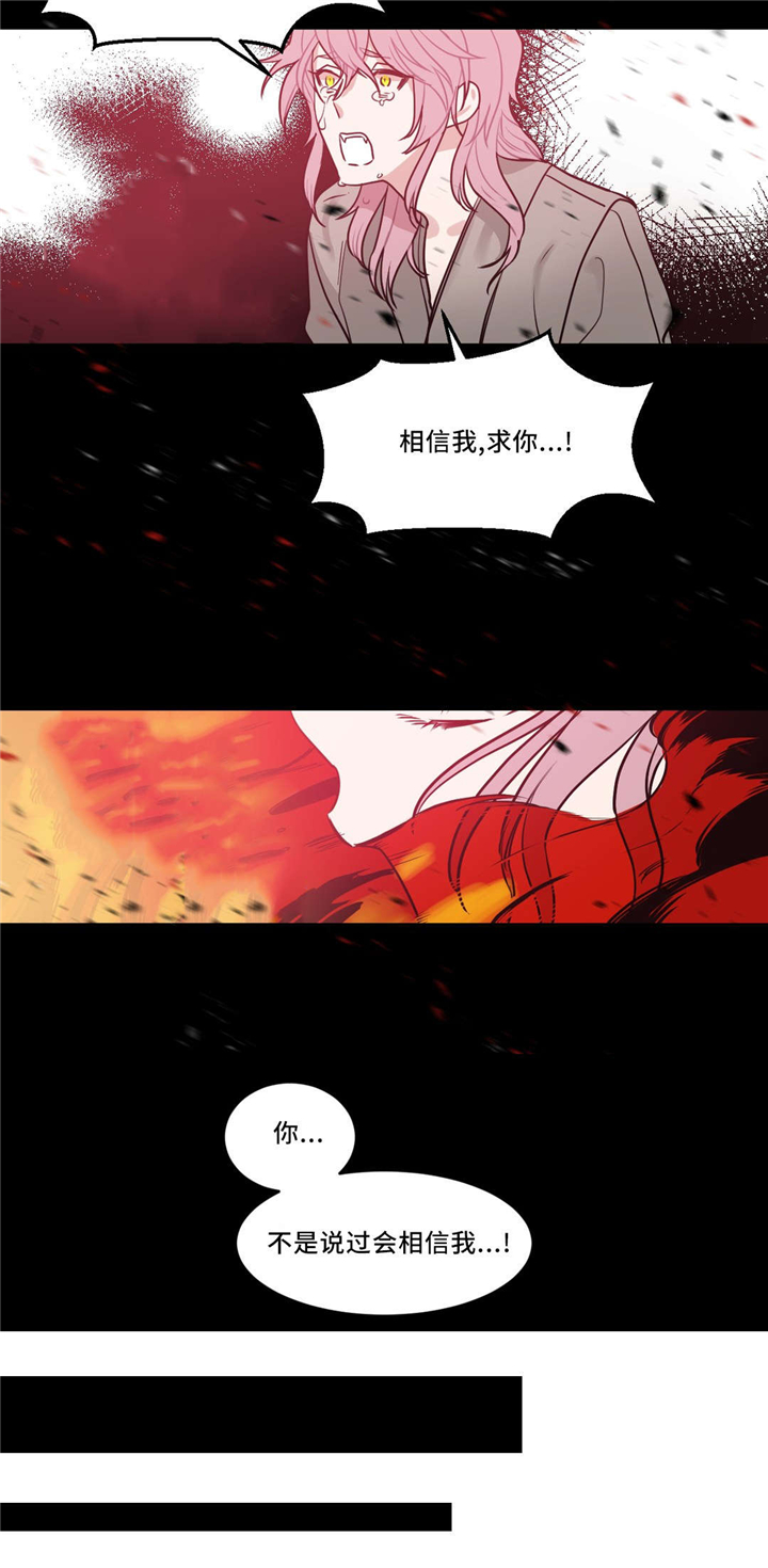 血肉与灵魂漫画,第20章：怎么办5图