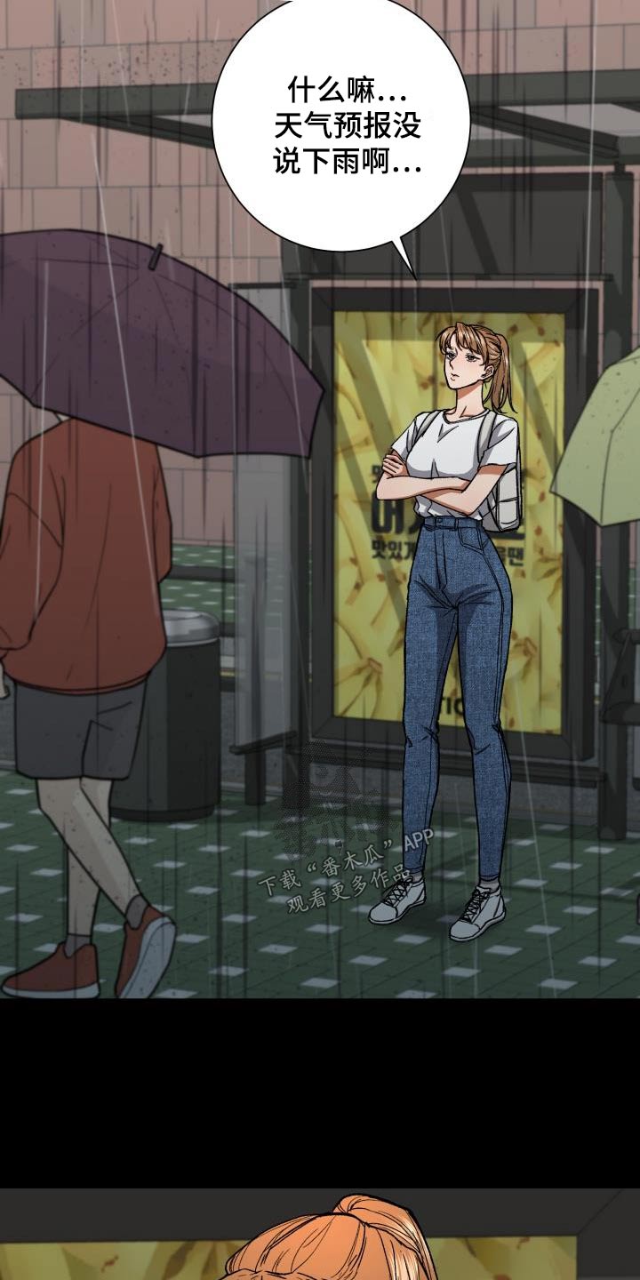 失落的情感漫画,第77章：命中注定3图