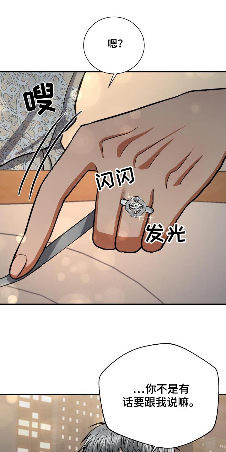 失落的情感漫画,第60章：再婚2图