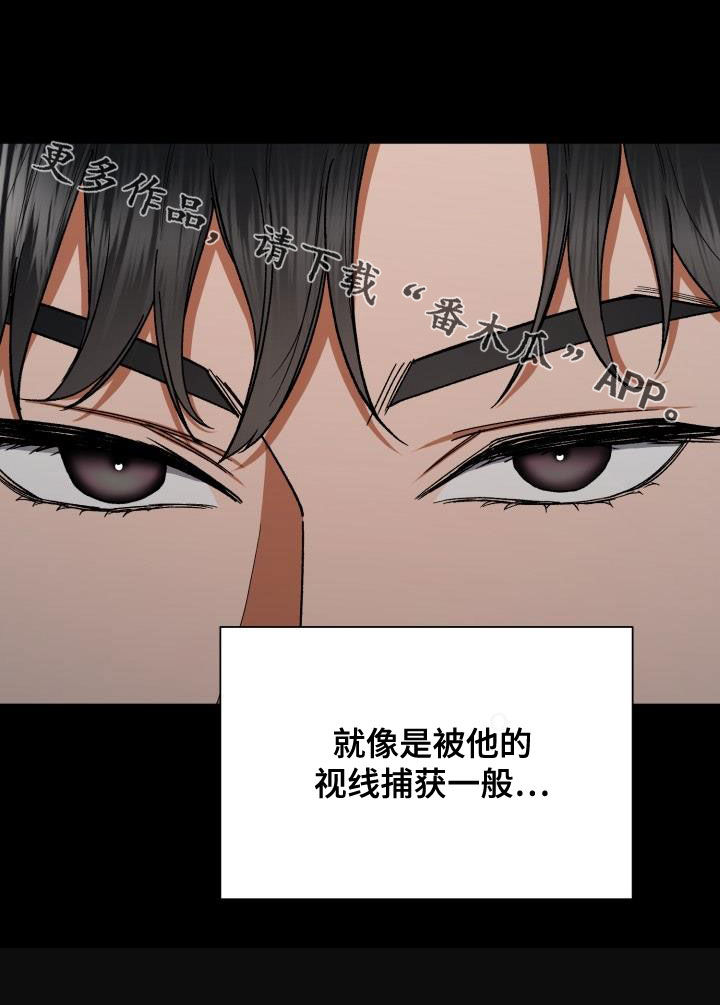 失落的情感漫画,第43章：视线5图