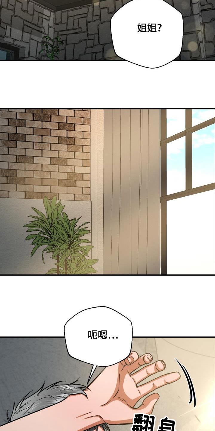 失落的情感漫画,第64章：姐姐4图